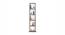 Walten Engineered Wood Bookshelf (Brown Maple Finish) by Urban Ladder - - 