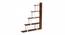 Wolabey Engineered Wood Ladder (Brown Maple and White Finish) by Urban Ladder - - 