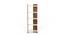Lagoon Engineered Wood Bookshelf (Brown Maple and Beige Finish) by Urban Ladder - - 