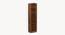 Alex Engineered Wood Bookshelf with 5 Shelves (Brown Maple Finish) by Urban Ladder - - 