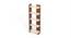 Lagoon Engineered Wood Bookshelf (Brown Maple and Beige Finish) by Urban Ladder - - 