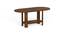 Osnale Engineered Wood Oval Shape Coffee Table (Brown Maple Finish) by Urban Ladder - - 