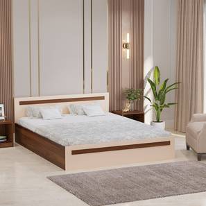 Maltein Engineered Wood Queen Size Box Storage Bed in Brown Maple And Wh...-image-46