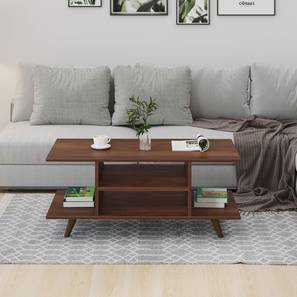 bluewud Anatdol Rectangular Engineered Wood Coffee Table in Brown Maple Finish-picture-18