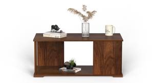 bluewud Noel Rectangular Engineered Wood Coffee Table in Brown Maple Finish-picture-11