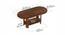 Osnale Engineered Wood Oval Shape Coffee Table (Brown Maple Finish) by Urban Ladder - - 