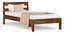 Roverb Engineered Wood King Size Bed Without Storage (Single Bed Size, Brown Maple Finish) by Urban Ladder - - 