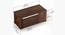 Noel Engineered Wood Coffee Table (Brown Maple Finish) by Urban Ladder - - 