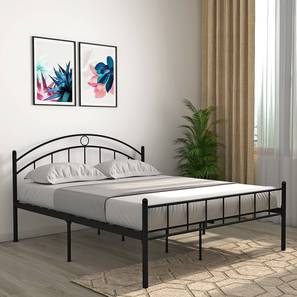Iron Bed Design Arnold Metal Queen Size Non Storage Bed in Black Finish