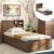 Amy storage bed with head board storage   single   classic walnut lp