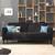 Felicity sofa cum bed color graphite grey lp