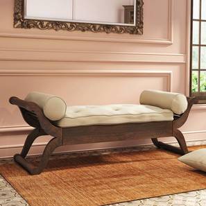 Divan Design Saachi Diwan in Brown Colour