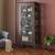 Satori modern display unit  american walnut lp