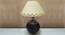 solway Table Lamp (Black) by Urban Ladder - Front View Design 1 - 921804