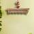 Fvsgws62br87809 1