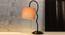 Grey cotton Zig Zag Curvy  table lamp with Iron Base (SP28) (Grey) by Urban Ladder - - 