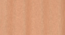 linen net Pack of 2 Sheer Door  Curtains. (Orange) by Urban Ladder - - 