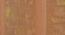 linen net Pack of 2 Sheer Door  Curtains. (Orange) by Urban Ladder - - 