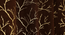 Dry Pack of 2 Blackout Door Curtain (Brown) by Urban Ladder - - 