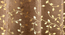 Jasmin Pack of 2 Regular Door Curtains (Beige) by Urban Ladder - - 
