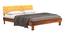 Rossi King Size Bed Without Stotage (Teak Finish, King Bed Size) by Urban Ladder - - 