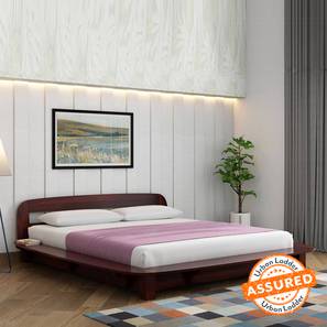woodenmood Louis Solid Wood King Size Non Storage Bed in Walnut Finish-picture-20