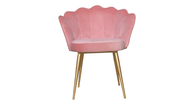 Palatial Elegance Chair (Pink, Golden Finish) by Urban Ladder - - 