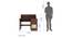 Shamon Study Table (Rattan Door) (Walnut Finish) by Urban Ladder - Design 1 - 