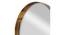 Brass Etching Stainless Wall Mirror (Brown) by Urban Ladder - - 
