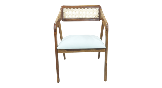 aceso solid wood  Lounge Chair in  blue colour (Blue, Rustik Teak Finish) by Urban Ladder - - 
