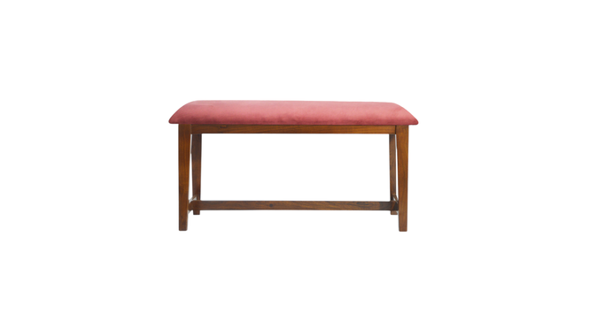 adrasteiasolid wood benchin provincial teakfinish (PROVINCIAL TEAK Finish) by Urban Ladder - - 