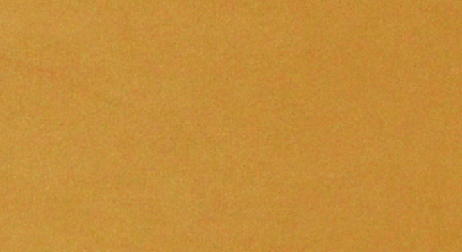 adikiasolid wood benchin provincial teakfinish (PROVINCIAL TEAK Finish) by Urban Ladder - - 