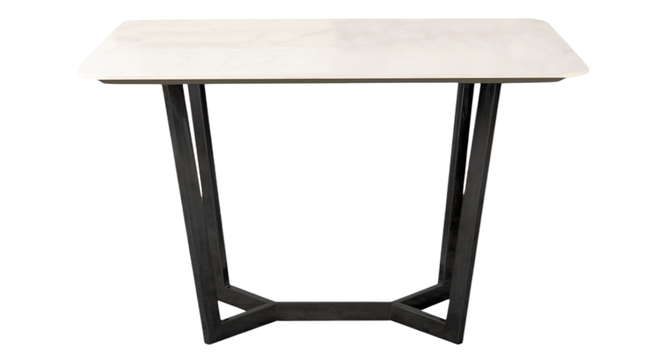 Linden 4 Seater Dining Table in Mild Steel Black Finish (Black Finish, Four Seater) by Urban Ladder - - 