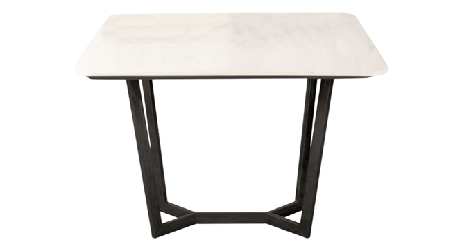Linden 4 Seater Dining Table in Mild Steel Black Finish (Black Finish, Four Seater) by Urban Ladder - - 