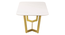 Linden Coffee Table in Stainless Steel Mirror Gold Finish (Dark Walnut Finish) by Urban Ladder - - 