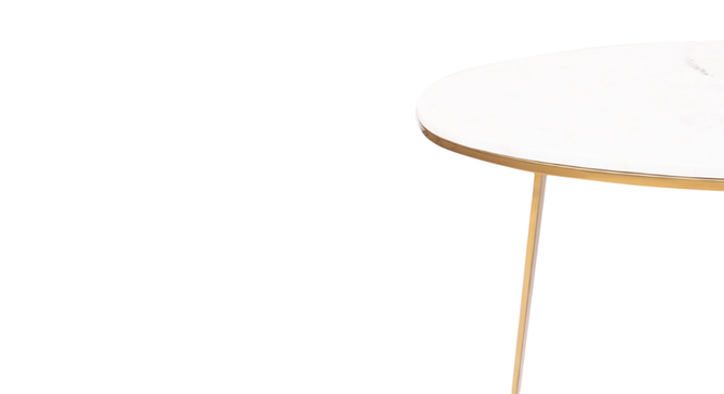 Griffin Coffee Table in Mirror Gold Finish (Dark Walnut Finish) by Urban Ladder - - 