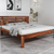 Fvbdns62br50100 1