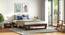 Caprica Bed (Queen Bed Size, Mango Walnut Finish) by Urban Ladder - - 