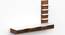 Primax Engineered Wood TV Unit (42 Inch Size, Brown Maple & White Finish) by Urban Ladder - - 