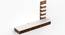 Primax Engineered Wood TV Unit (42 Inch Size, Brown Maple & White Finish) by Urban Ladder - - 