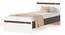 Pollo Engineered Wood Single Bed Without Storage (Single Bed Size, Wenge & White Finish) by Urban Ladder - - 