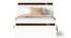 Pollo Engineered Wood Single Bed Without Storage (Single Bed Size, Wenge & White Finish) by Urban Ladder - - 