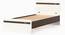 Pollo Engineered Wood Single Bed Without Storage (Single Bed Size, Wenge & White Finish) by Urban Ladder - - 