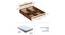 Pollo Engineered Wood King Size Bed with Box Storage (Queen Bed Size, Box Storage Type, Brown Maple & Beige Finish) by Urban Ladder - Dimension - 964874