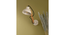 Farrah Sit Wood Wall Sconce (White) by Urban Ladder - - 
