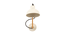Farrah Sit Wood Wall Sconce (White) by Urban Ladder - - 