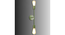 Filo Green Metal Wall Light by SS Lightings (Green) by Urban Ladder - - 