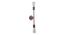 Filo Copper Metal Wall Light by SS Lightings (Brown) by Urban Ladder - - 