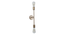 Filo Gold Metal Wall Light by SS Lightings (Brown) by Urban Ladder - - 