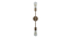 Filo Gold Metal Wall Light by SS Lightings (Brown) by Urban Ladder - - 